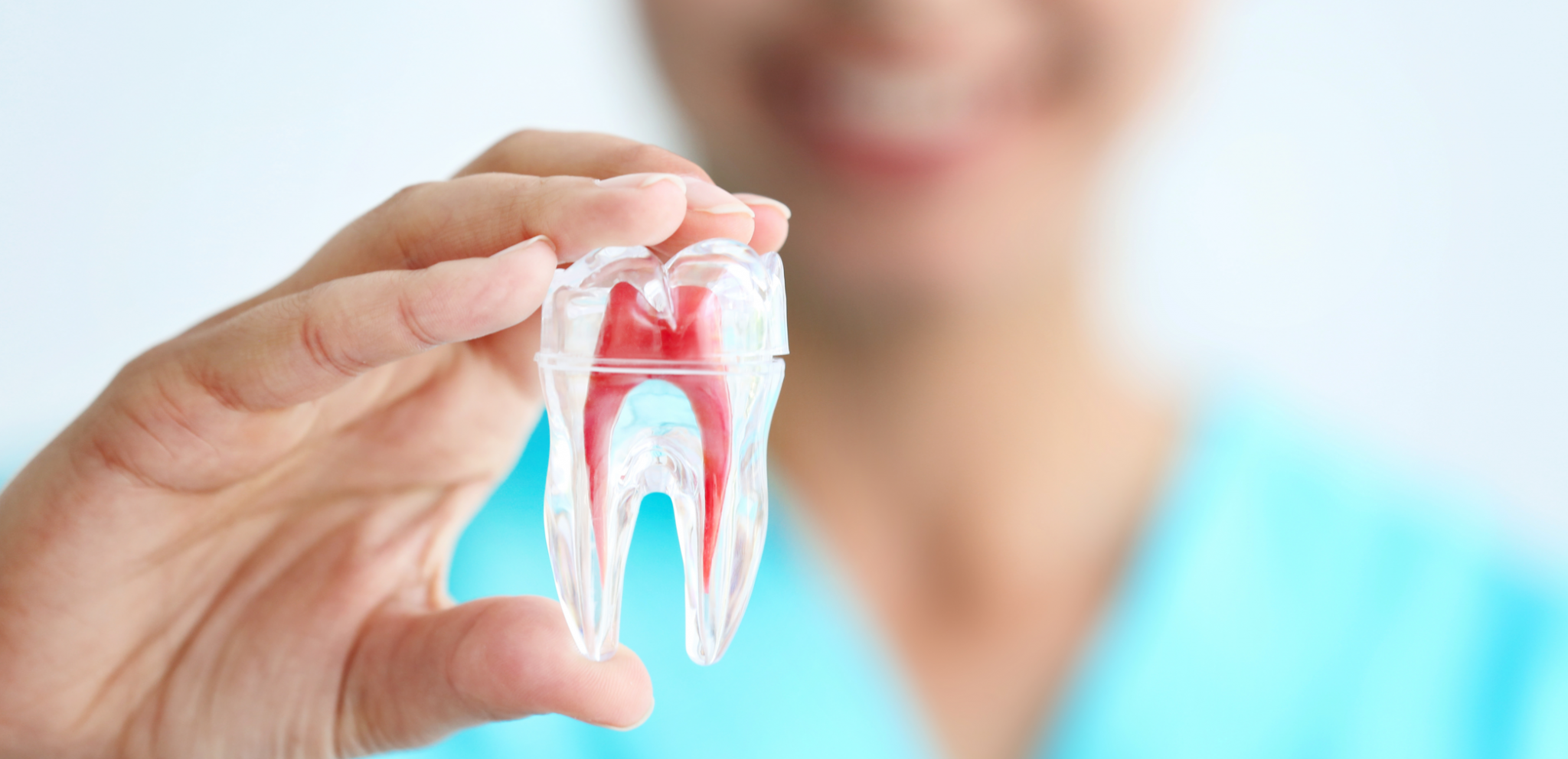 Hayner Dental