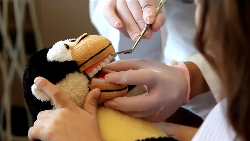 Bay Area Kids Dentistry