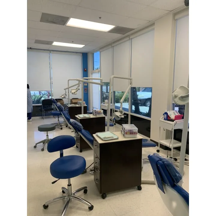 Western Dental & Orthodontics Kids