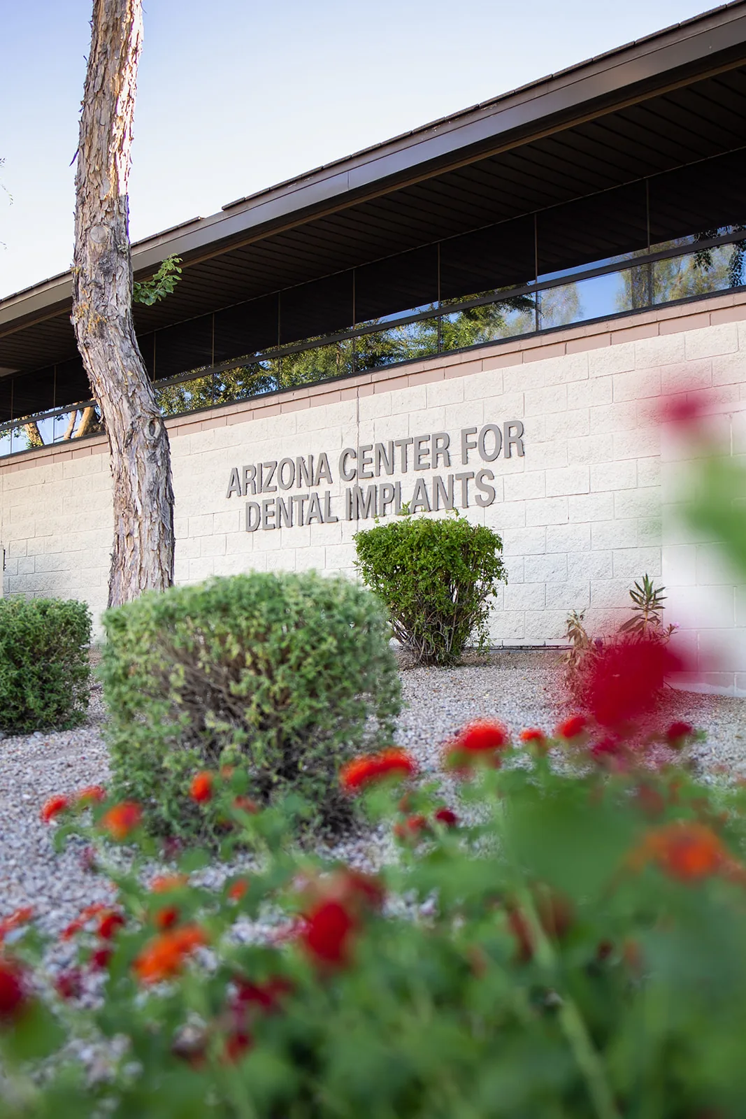Arizona Center for Oral Surgery