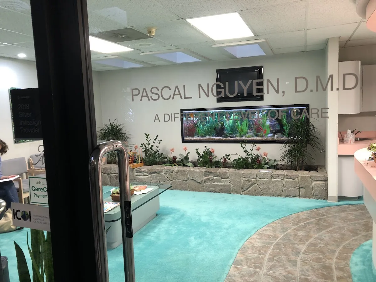 PJN Dental