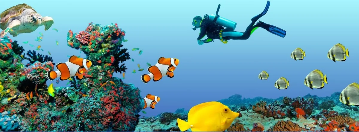 Ocean Dental